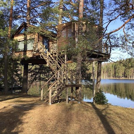DukuriTreehouse Ciekurs别墅 外观 照片