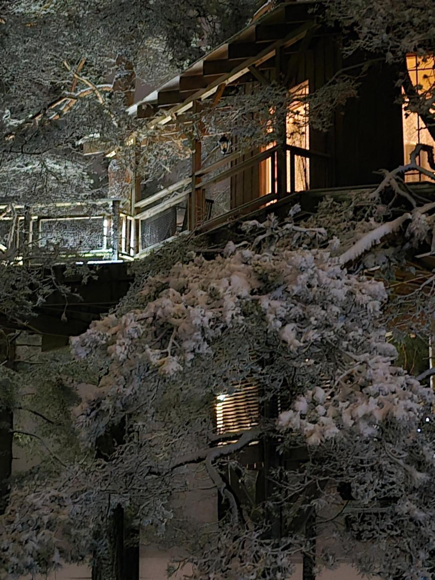 DukuriTreehouse Ciekurs别墅 外观 照片