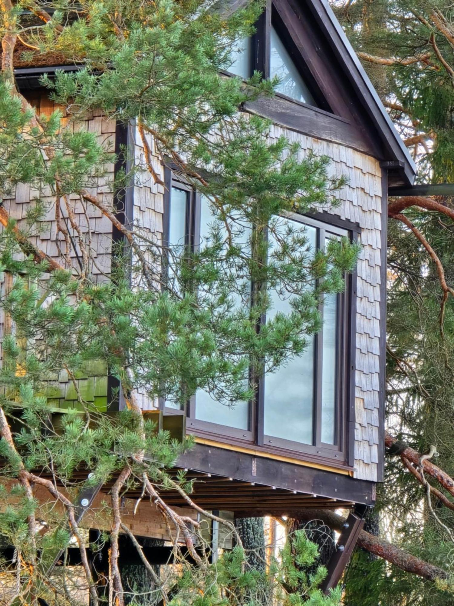 DukuriTreehouse Ciekurs别墅 外观 照片